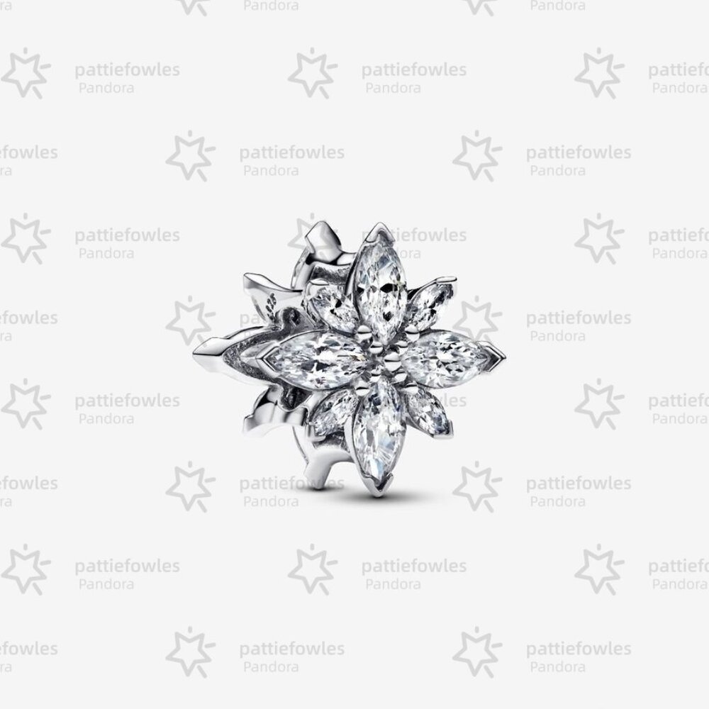 Pandora Sparkling North Star Charm|Pendant